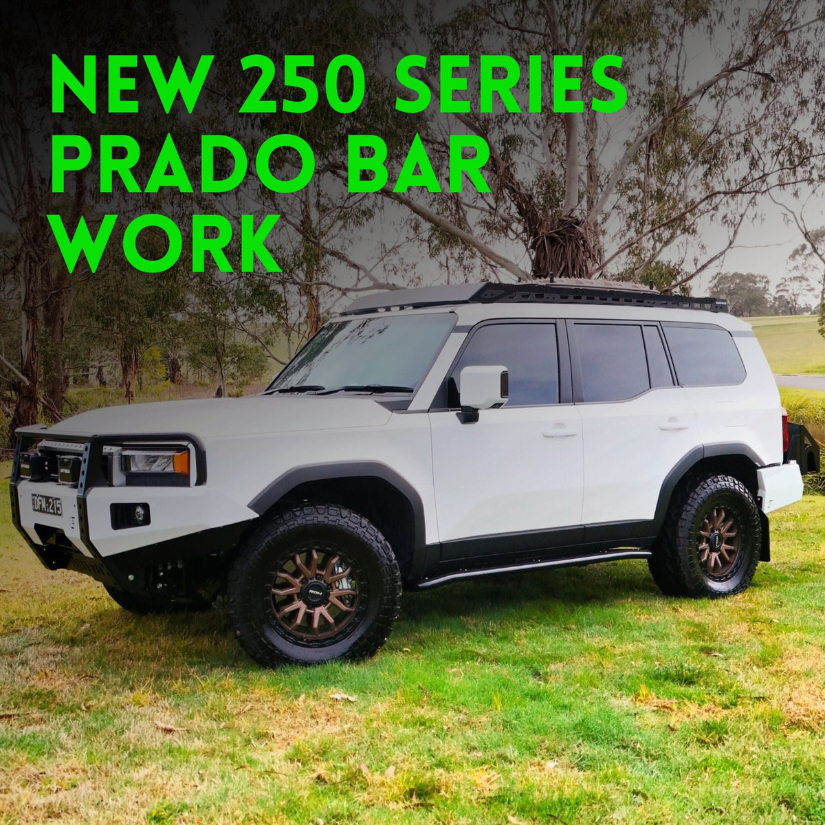 Prado 250 Rear 250 Series Toyota Landcruiser Prado Bull Bar, Rear Bar, Rock Sliders