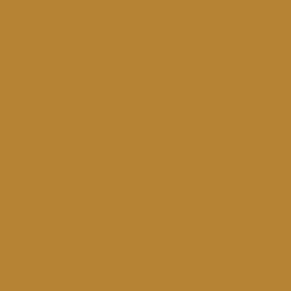 Colour Coding of N90 Dallas Bull Bar (5C7) Sunglow